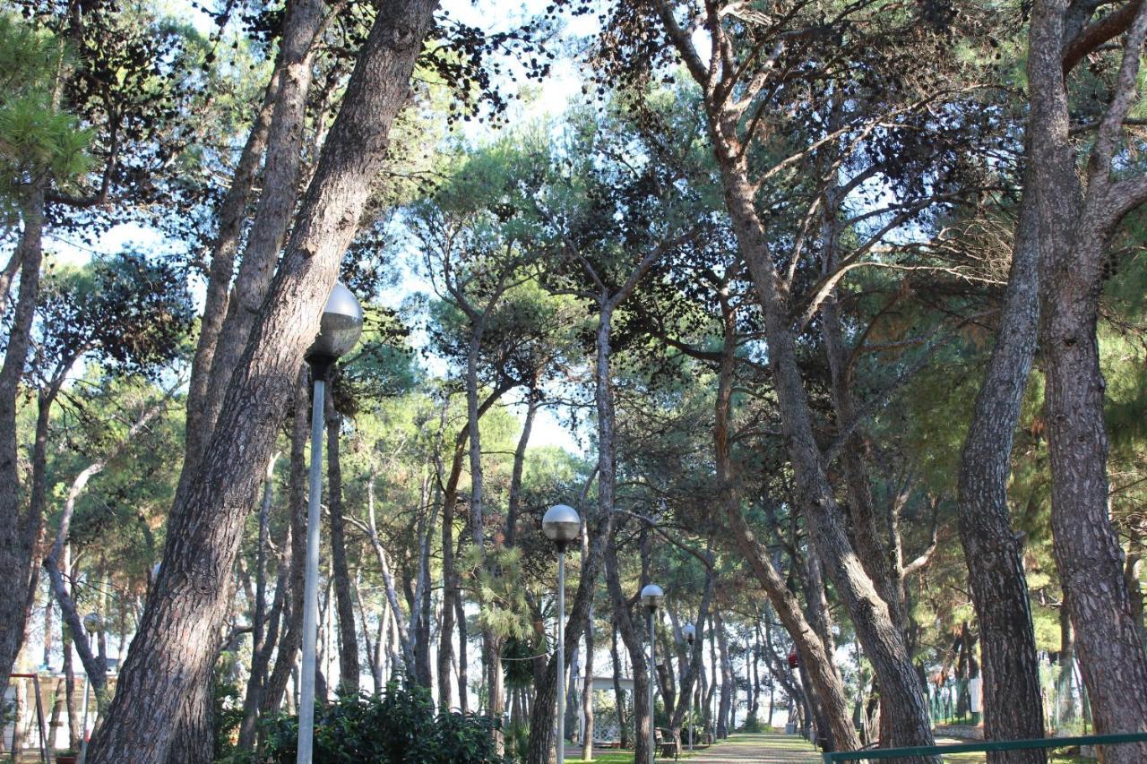 La Pigna Acomodação com café da manhã Ruvo di Puglia Exterior foto