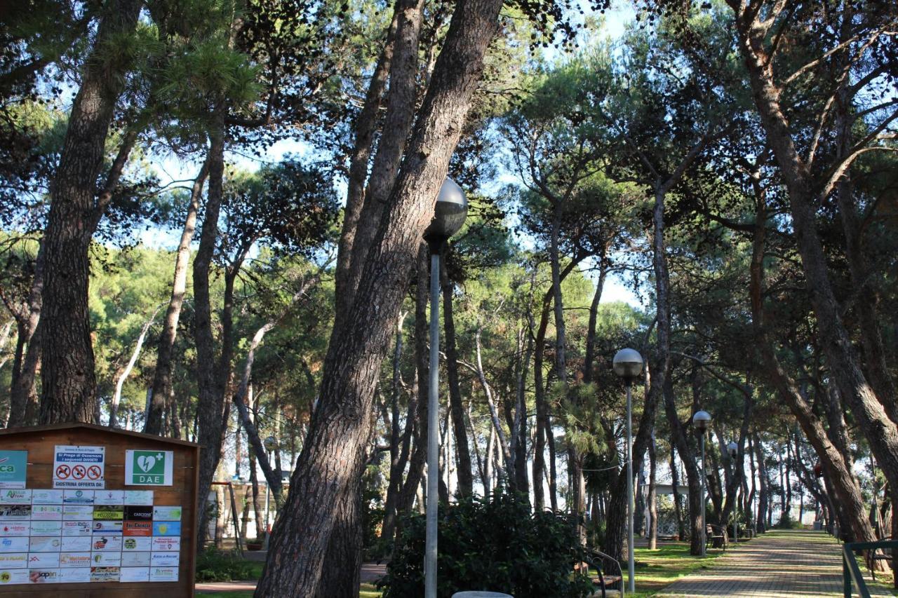 La Pigna Acomodação com café da manhã Ruvo di Puglia Exterior foto