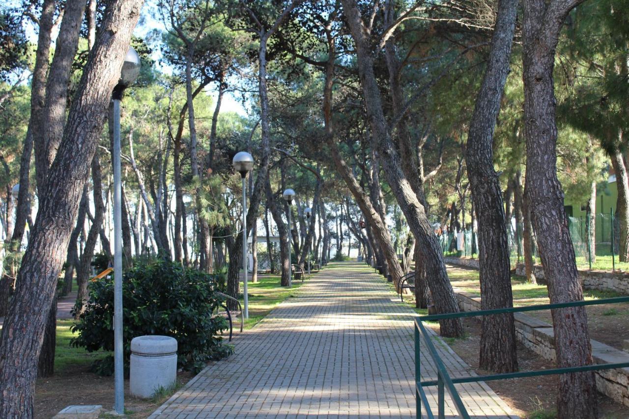 La Pigna Acomodação com café da manhã Ruvo di Puglia Exterior foto